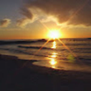 Meet your Posher, Faye